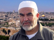 الكارثة الإنسانية في غزة كشفت حال الشعوب العربية بلا إرادة بل مشلولة